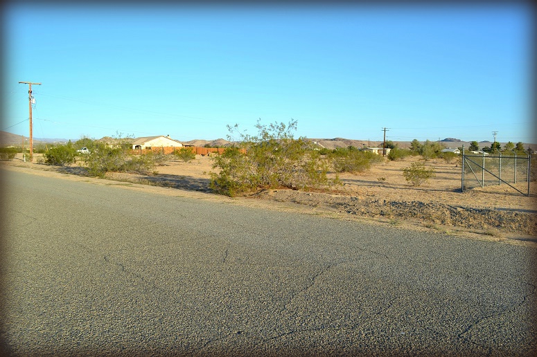 Joshua Tree Building Lot